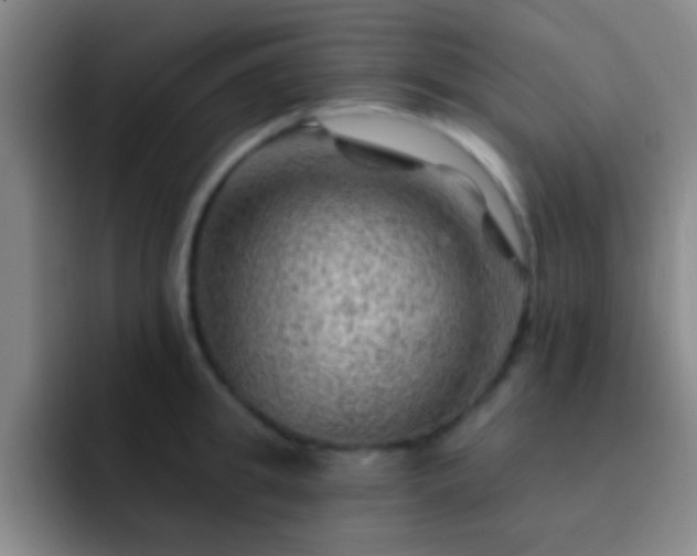 X0000092300949200709211229