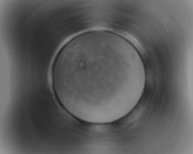 X0000092300950200709211229
