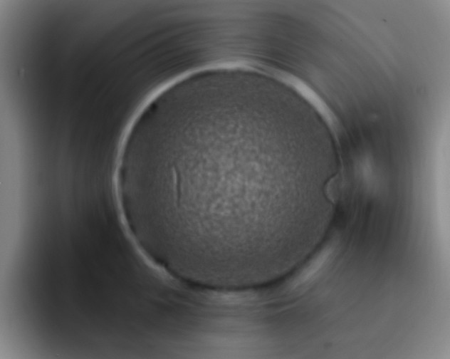 X0000092300951200709211229