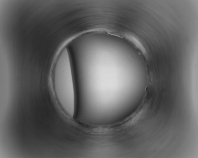 X0000092300952200709211229