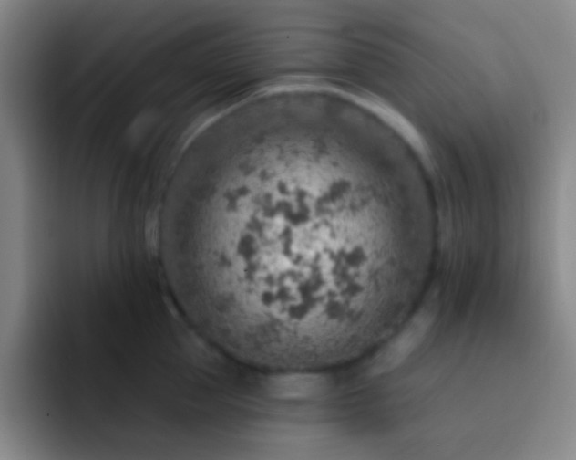 X0000092300953200709211229