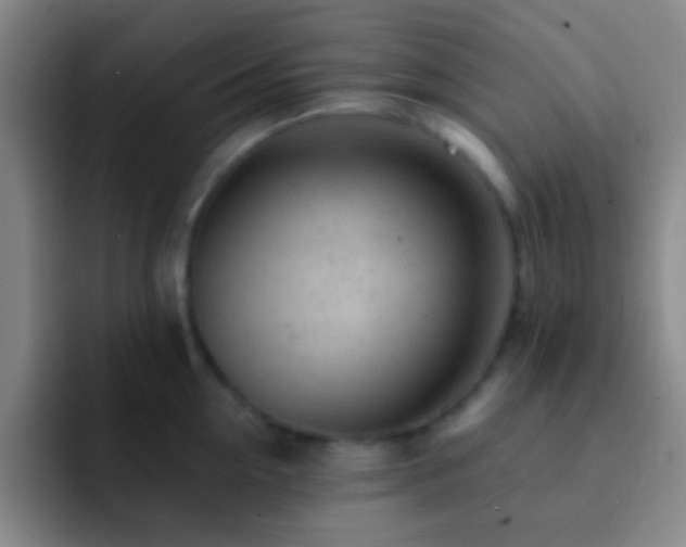 X0000092300954200709211229
