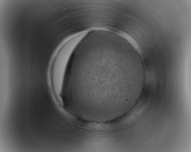 X0000092300955200709211229