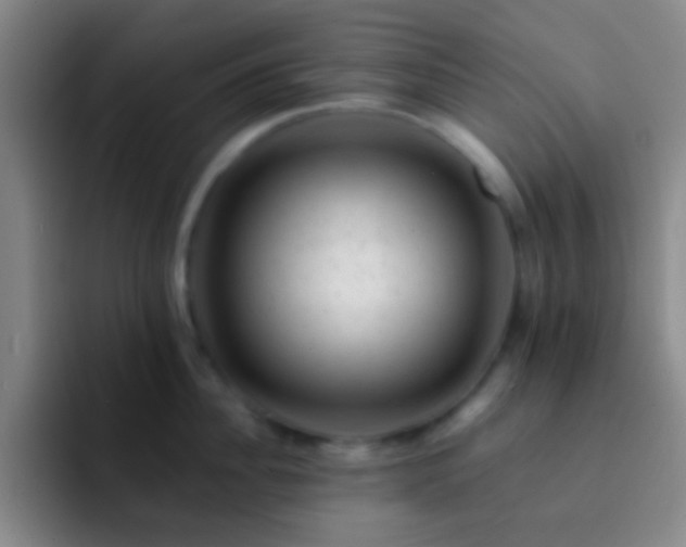 X0000092300956200709211229