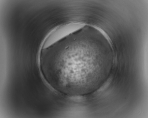 X0000092300957200709211229