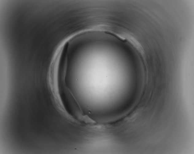 X0000092300960200709211229