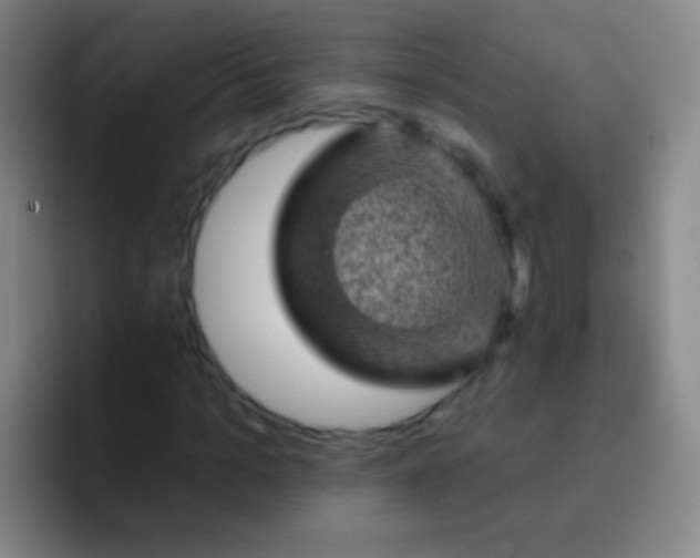 X0000092300965200709211228