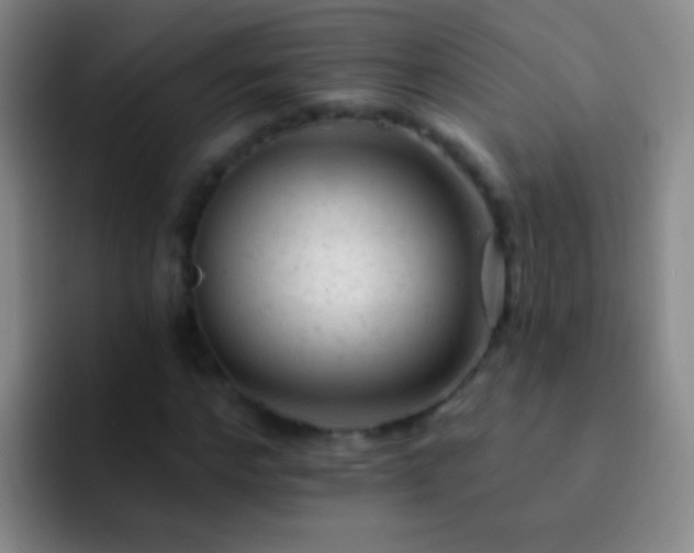 X0000092300968200709211228