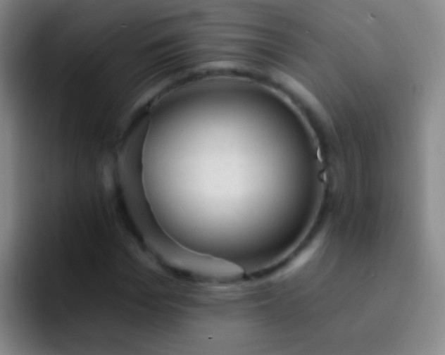 X0000092300969200709211228
