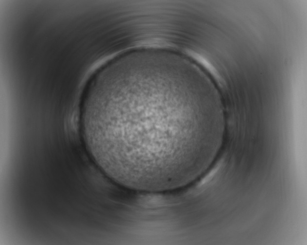 X0000092300971200709211228