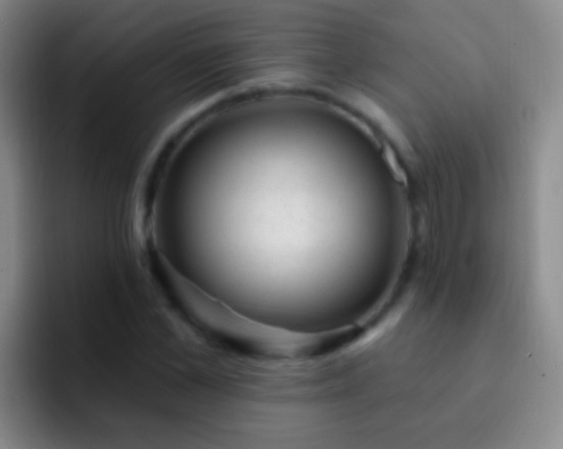X0000092300973200709211228