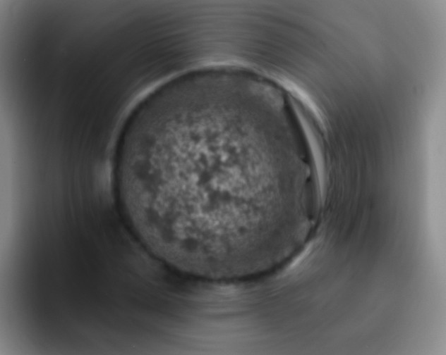 X0000092300975200709211228