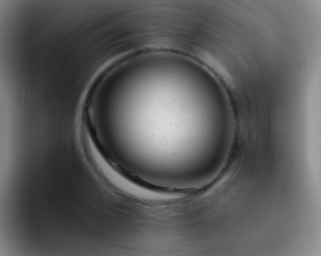 X0000092300976200709211228
