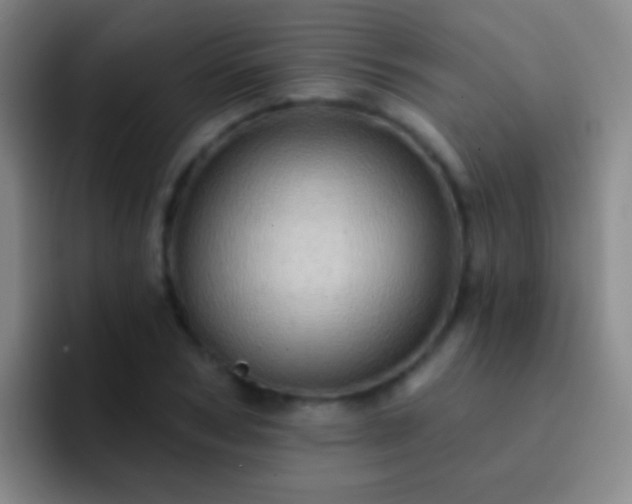 X0000092300978200709211228