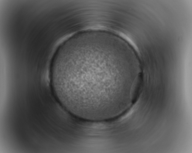 X0000092300979200709211228