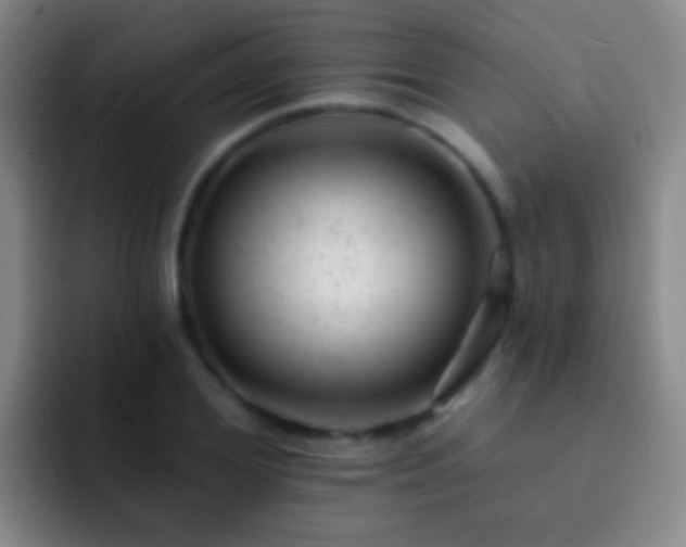 X0000092300980200709211228