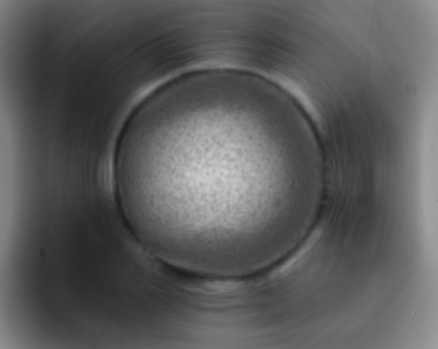 X0000092300982200709211228