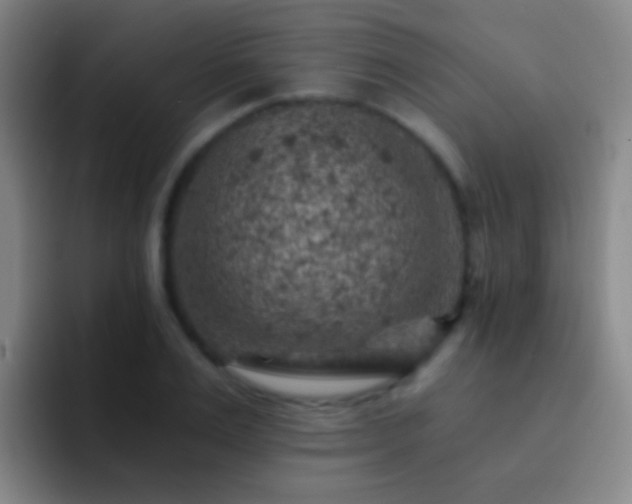 X0000092300983200709211228