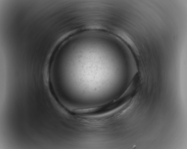 X0000092300984200709211228