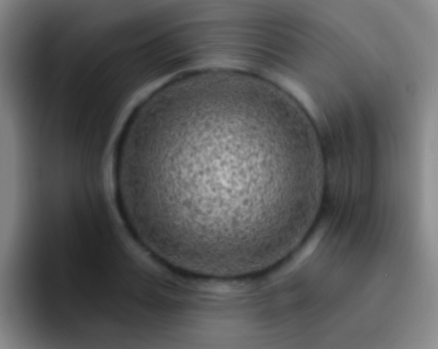 X0000092300987200709211228