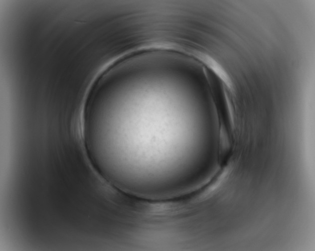 X0000092300988200709211228