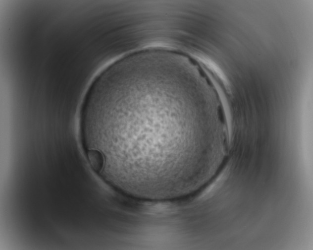 X0000092300991200709211228