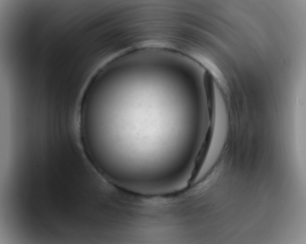 X0000092300992200709211228