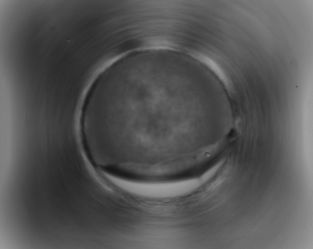 X0000092300995200709211228