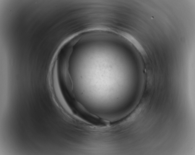X0000092300996200709211228