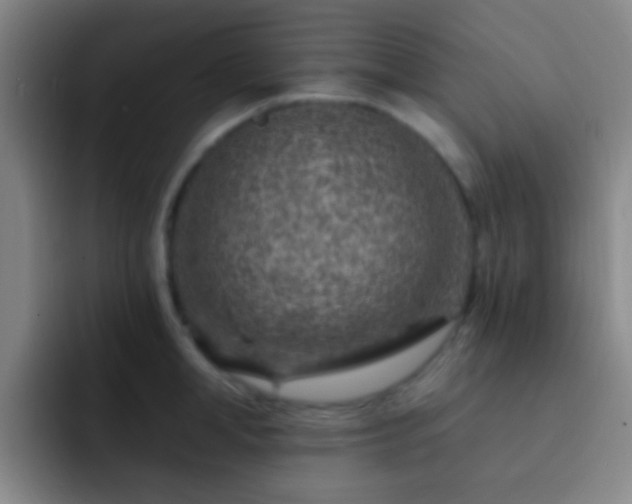 X0000092300998200709211228