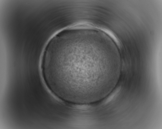 X0000092300999200709211228