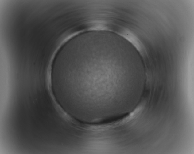 X0000092301000200709211228