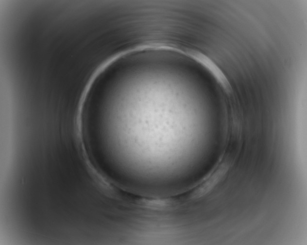 X0000092301004200709211228