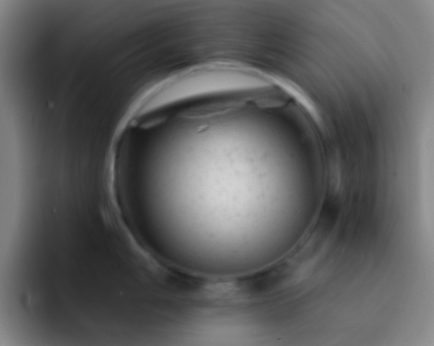 X0000092301006200709211228