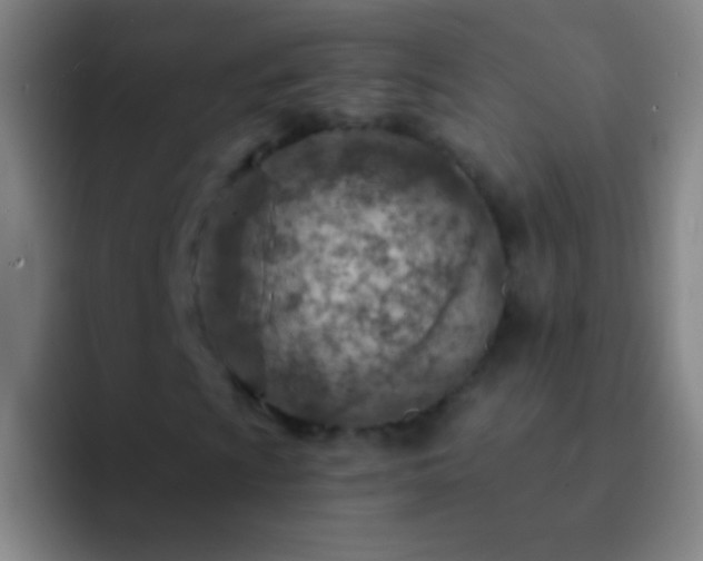 X0000092301009200709211227