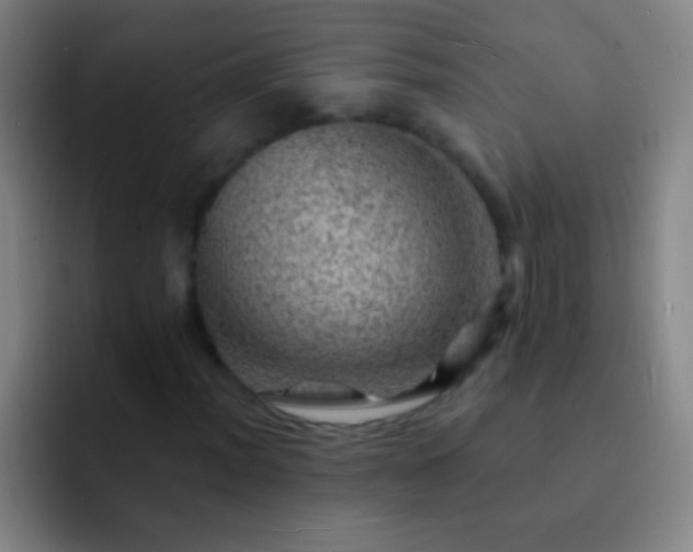 X0000092301012200709211227