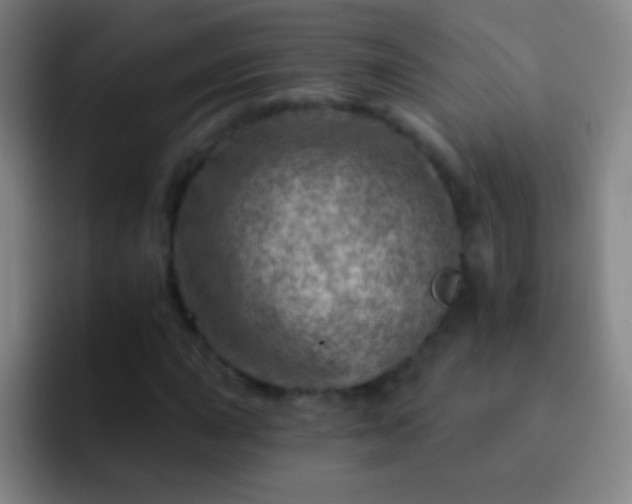 X0000092301015200709211227