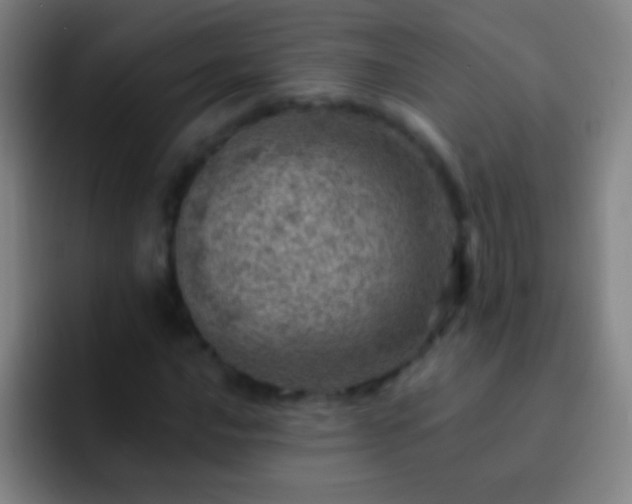 X0000092301016200709211227