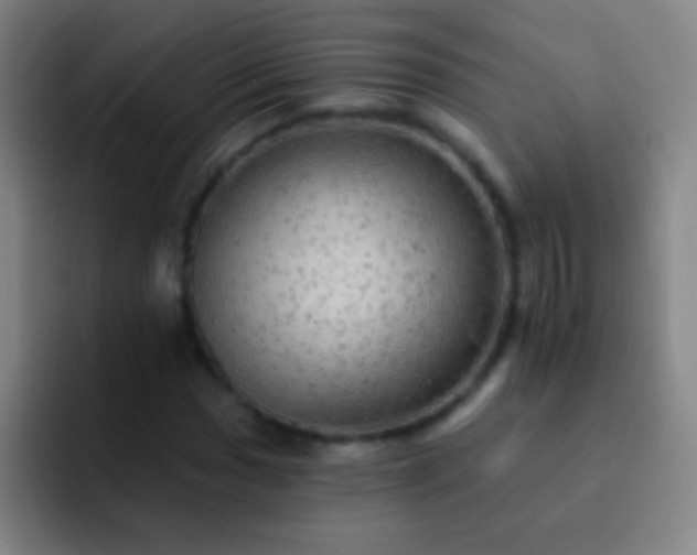 X0000092301017200709211227