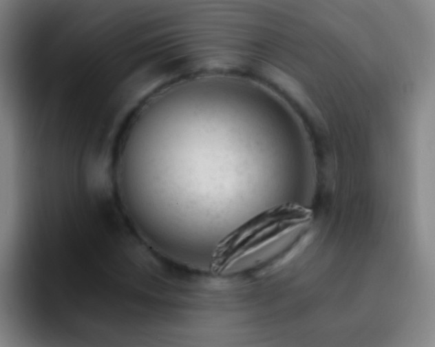 X0000092301018200709211227