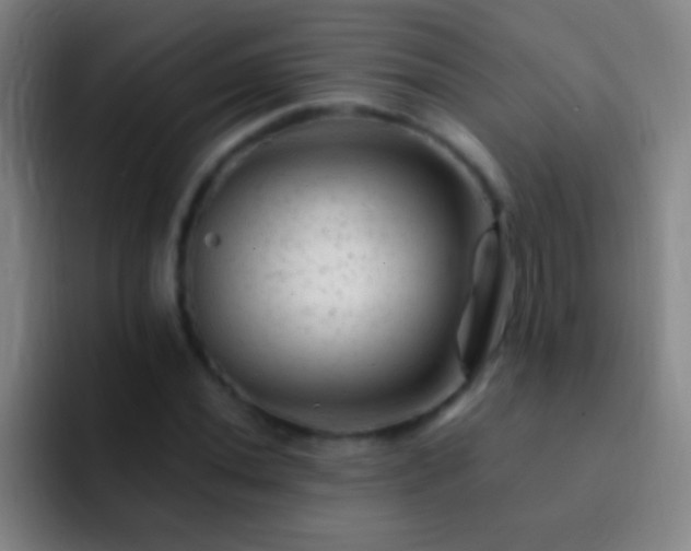 X0000092301020200709211227