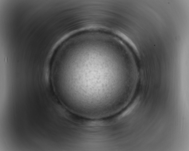 X0000092301021200709211227