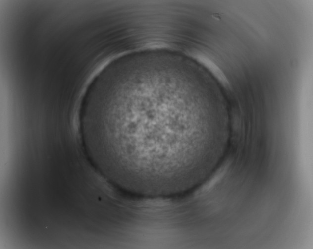 X0000092301023200709211227