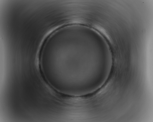 X0000092301024200709211227