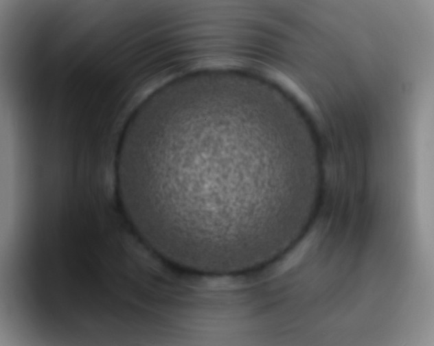 X0000092301025200709211227