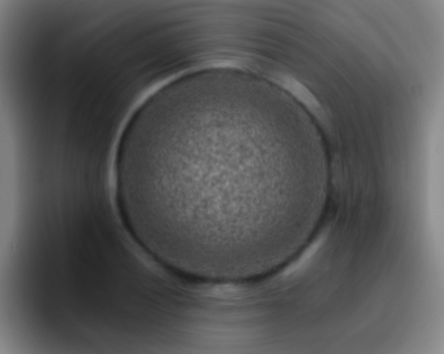 X0000092301028200709211227