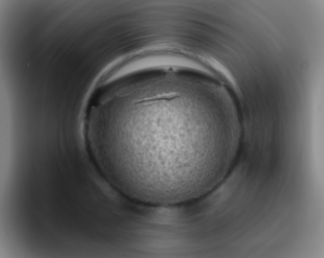 X0000092301029200709211227