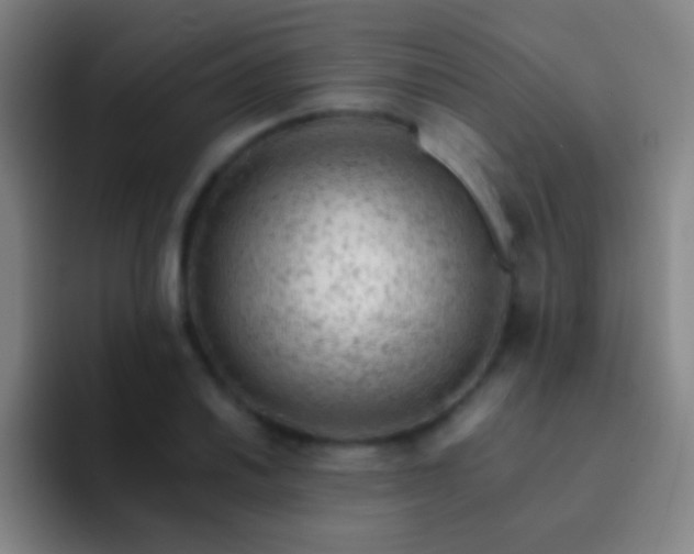 X0000092301030200709211227