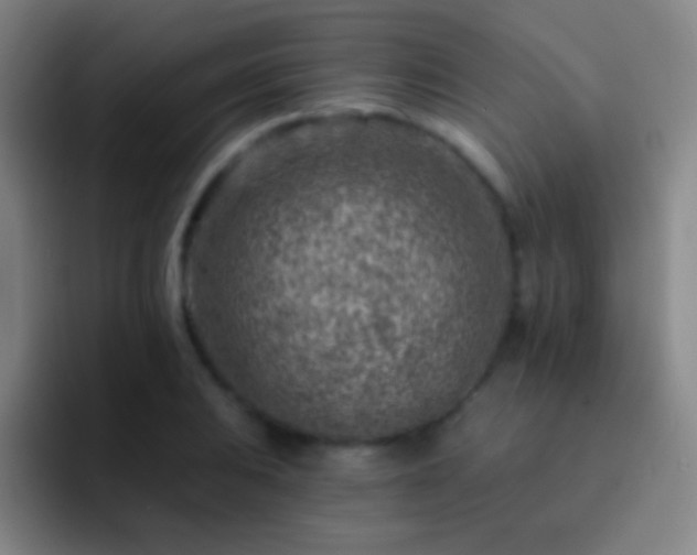 X0000092301031200709211227
