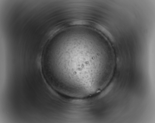 X0000092301033200709211227